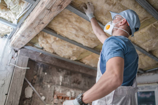 Best Commercial Insulation in Hernando Beach, FL