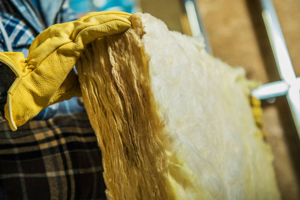 Best Insulation for Specific Applications in Hernando Beach, FL
