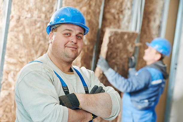 Best Insulation Installation Services in Hernando Beach, FL